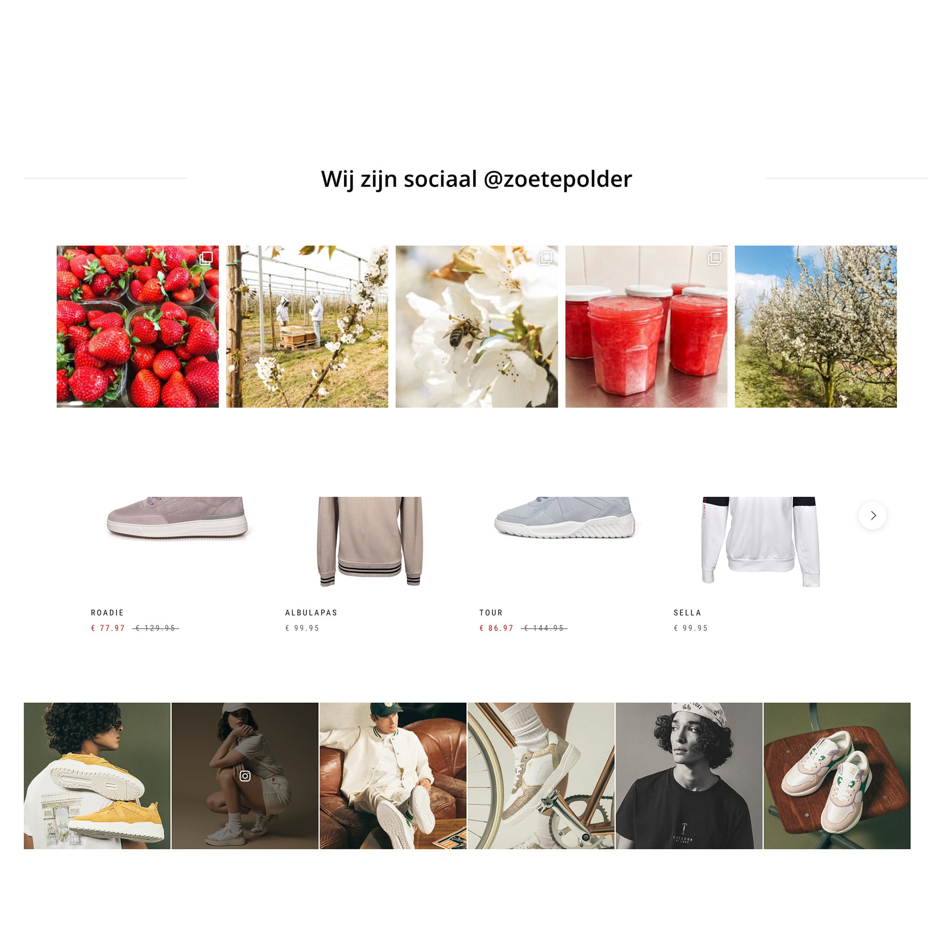 Instagram Feed integratie website Instagram feed