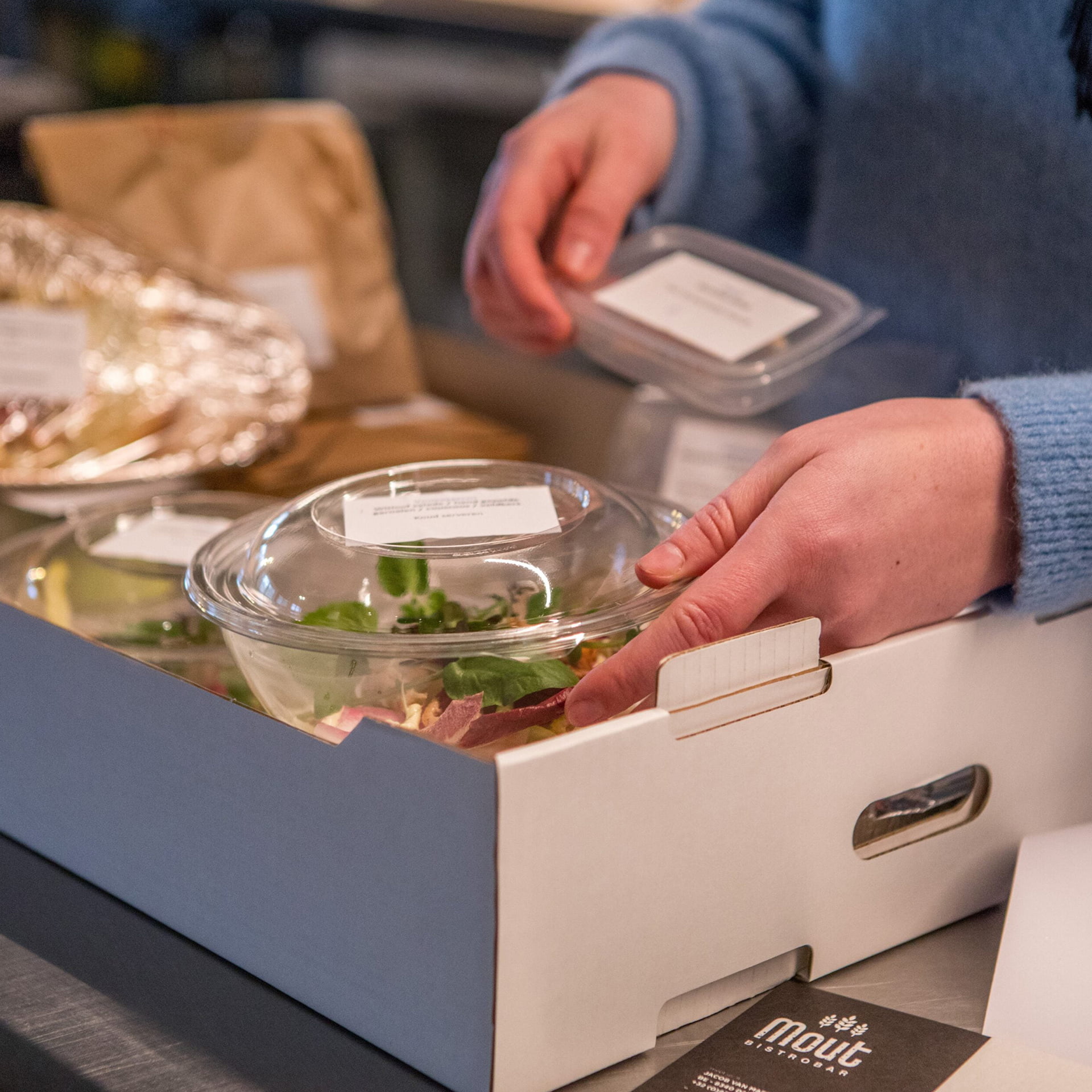 Mout Damme 2 Mout Damme